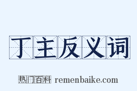 丁主反义词是什么意思的图片